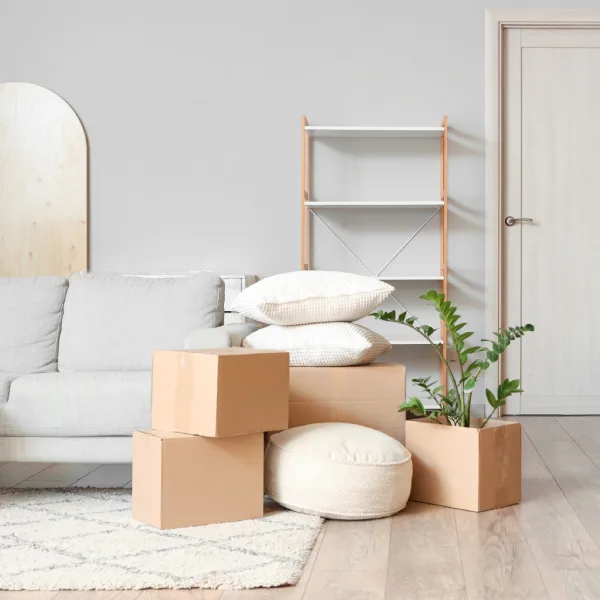 Cartons & Boxes